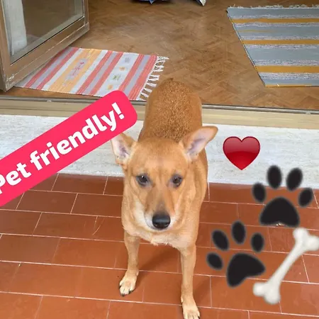 아파트 Yellow & 트리에스테